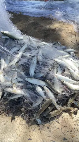 mới tập đi lưới 🤣🤣#xuhuongtiktok 