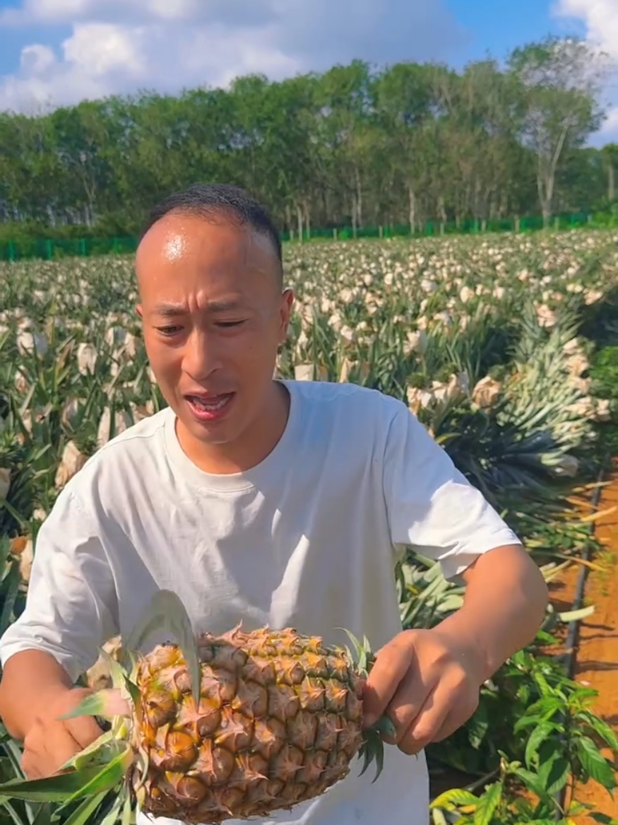 Satisfying natural pineapple juice and cutting skills very fresh #asmr #fresh #life #pineapple 