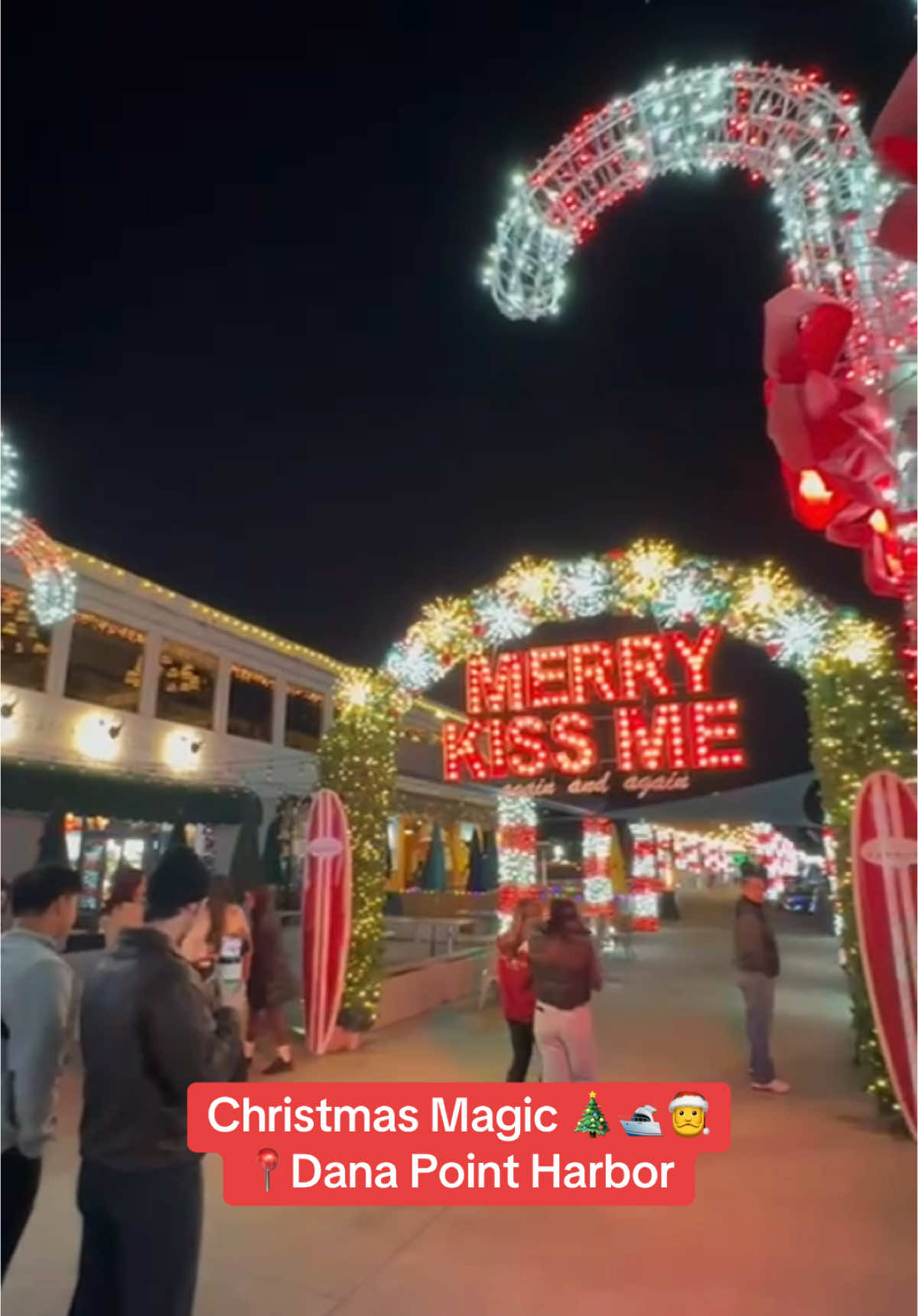 Holiday lights by the water? Yes, please! Dana Point Harbor feels extra magical for Christmas!🎄 #christmaslights #holidays #harbor #tistheseason #merrychristmas #happyholidays 