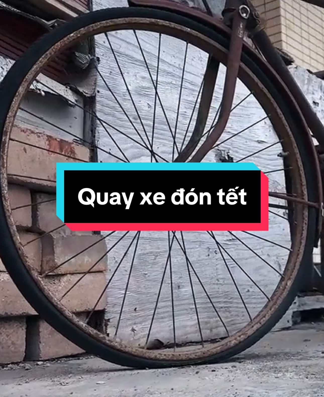 cuối năm rồi chuẩn bị sắm xe mới đi thăm họ hàng thôi #xedap #thethao #bike #javabike8 #xuhuong #thinhhanh #suckhoe #xedua #2024