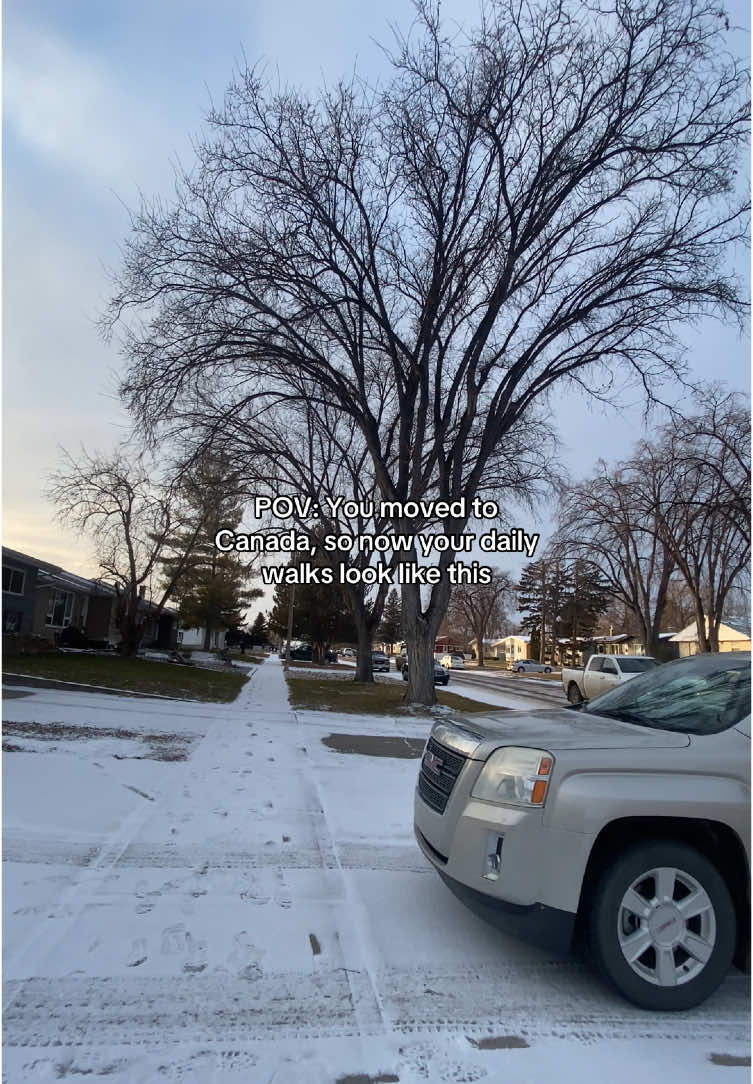 POV: You moved to Canada, so now your daily walks look like this. #canada_life🇨🇦 #moved #canada #canadatiktok #dailywalk #winter #snow 