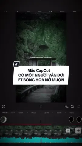 #CapCut Hoa héo trong lòng...!- Bông Hoa Nở Muộn ft Có Một Người Vẫn Đợi Remix.#nhacchaymoingay #xuhuong #tzi01 