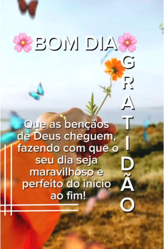 BOM DIA Que as bençãos de Deus cheguem fazendo com que  seu dia seja maravilhoso e perfeito do início ao fim! Gratidão 🙏 #bomdia #hoje #quartou #benção #bomdiadeus #deusobrigadaportudo #dezembro #quarta #mensagens #18dedezembro #natalchegando #status #fé #statuswhatsap #hj #planta #tiktokmotivacional #perseverança #fé #boramonetizar #fica #dica #rumoaotop #boramonetizar #10k? 