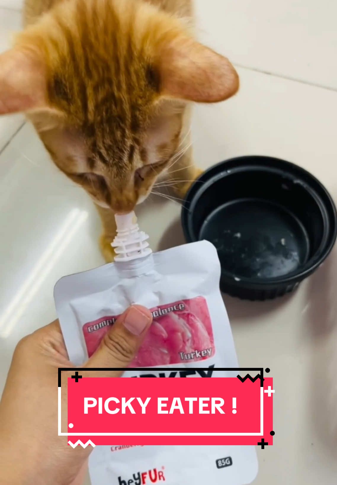 Settlekan masalah picky eater kucing korang tu dengan wetfood kami !🤪😻 #wetpud #makanankucing #catbooster #catvitamins #kucingsihat #wetpud #wetfoodpremium #turkeychicken #salmon 