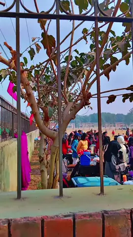 sports 🏏 🏟️#fyppppppppppppppppppppppp #foryou 