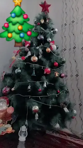 #Täze yyl bizede gelli🎄