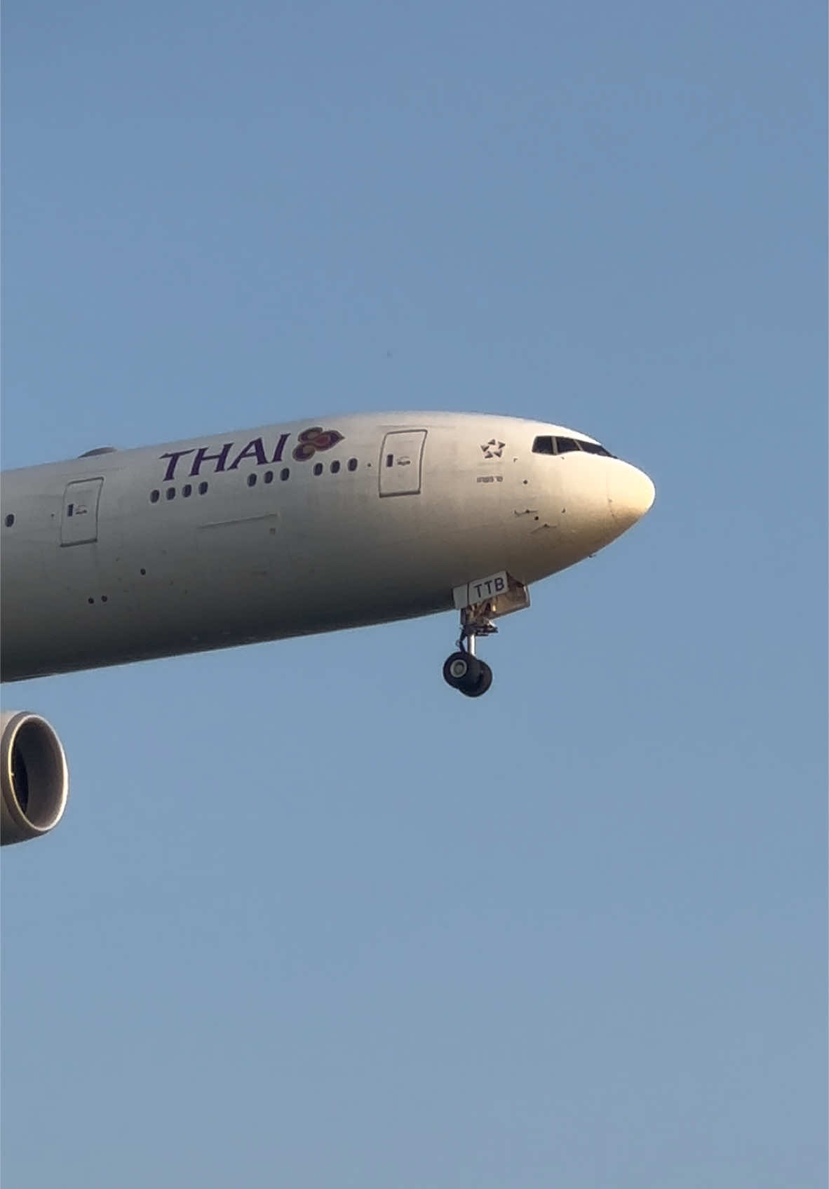 Thai Airways International Boeing 777-300ER arrives into heathrow with wing vapour at sunrise #avgeek #planes #fyp #aviation #heathrow #airport #pilot 