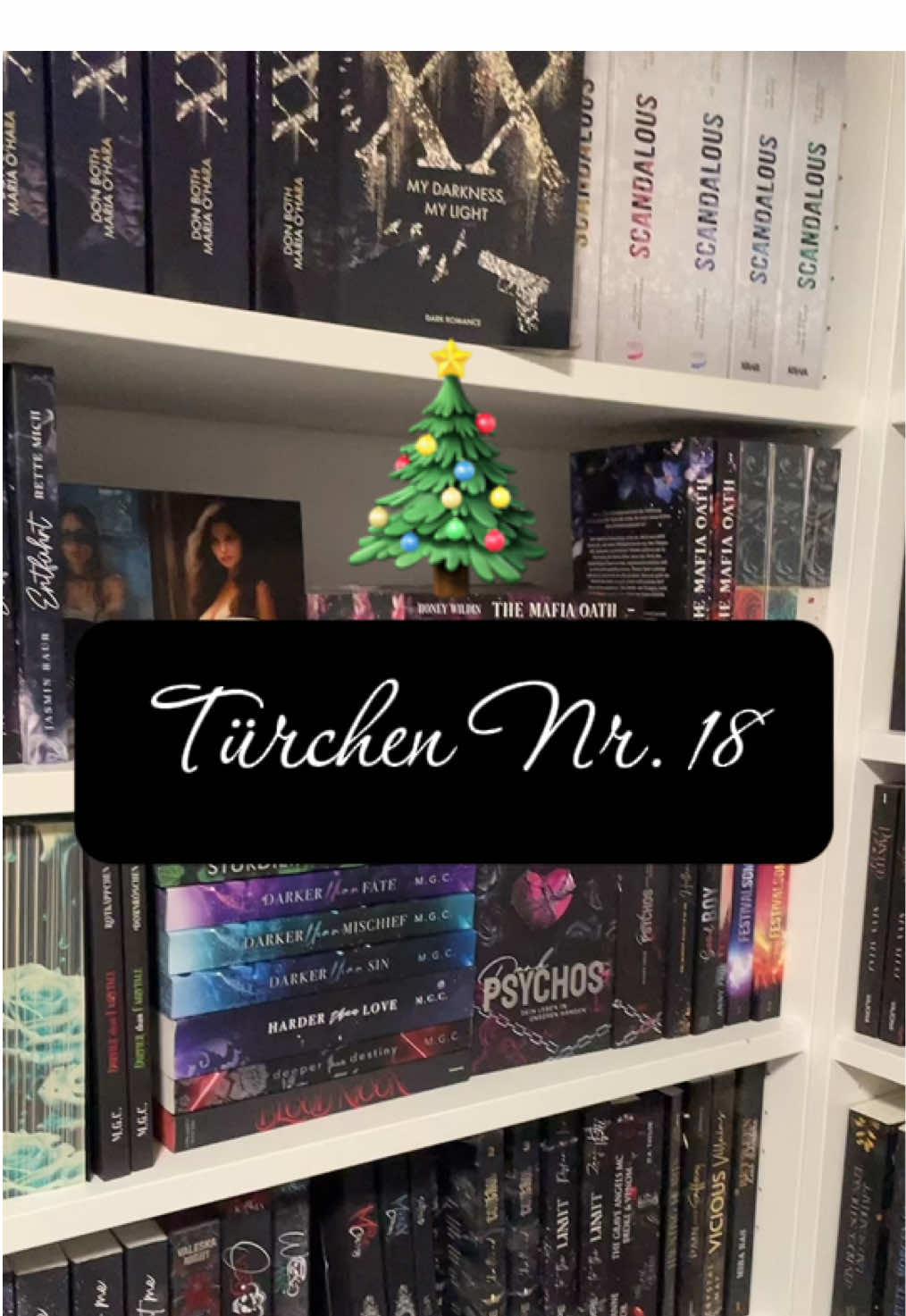 #buchmädchen #kalender #danajai #bookishchristmas  #bookworm #bookhaul #bücherliebe #book #buchtok #bookish #lesen #books #reading #booklover #darkromance #booktokgermany #darkromancebooks #booksofig #readmorebooks #alwaysreading #booktography #readabook #bookaesthetic #bookworms #readingisfundamental #booktokgerman #bücherwurm #favoritebooks #bookaesthetic #darkromancebücher #büchertok #bookboys #morallygrey #bookish #bücher #smudbooks #foryou #booktokgermany #bookworm #darkromance #read #foryou #reading #buch #smuttbook #bücher #booktoker #fyp #fürdich #foryoupage #book #viral #darkromancebooks #reading #bookboyfriends #büchertok #bookboys #bookish #books #BookTok #romancebooks #booktokdeutschland#bookrecommendation #bookaesthetic #bookshelves #readabook #readmore #bookstagrammers #becauseofreading #newbooks @buchmaedchen.de | Booktok 📚 @Dana Jai  | Author @Anna | Booklover @Mel @carina 📖🩵 @ChaosMelli📚booklover🖤 @Janine | BookTok 📚🤍 @🌹🤍 Vivi | Booktok 🤍🌹 @Christin 📚🖤 @Isa_BookTok📚 