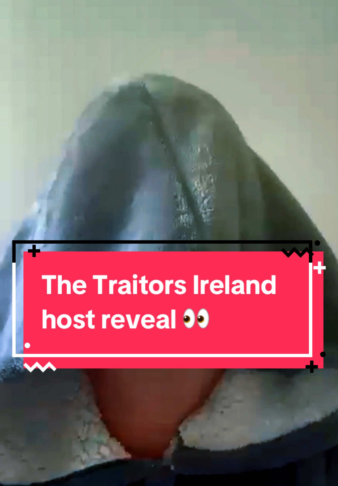 #thetraitors Ireland is coming to RTÉ VERY soon…  and here is your host…  #siobhánmcsweeney 🤩🤩 #rte #derrygirls #rteplayer 