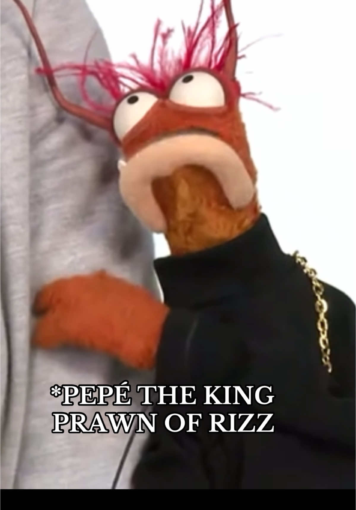 #pepe #pepethekingprawn #prawn #savetiktok #foryourpage #foryoupage #fyp #themuppets #gma #time #rizz #rizzlertiktok #rizzler #muppets #club #lover 