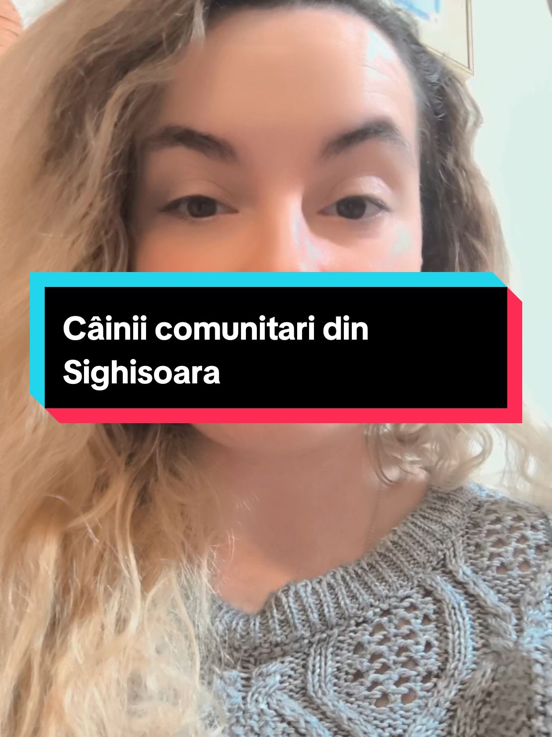 Conflict nou la Sighisoara: câinii comunitari! Sighișorenii sunt iubitori de animale, faceți ceva cu cei care aduc câinii! #sighisoararomania #estidinsighisoara #sighisoara #sighisoaramedievala #administratiepublica #primariasighisoara #cetateasighisoara #animale #iubitorideanimale 