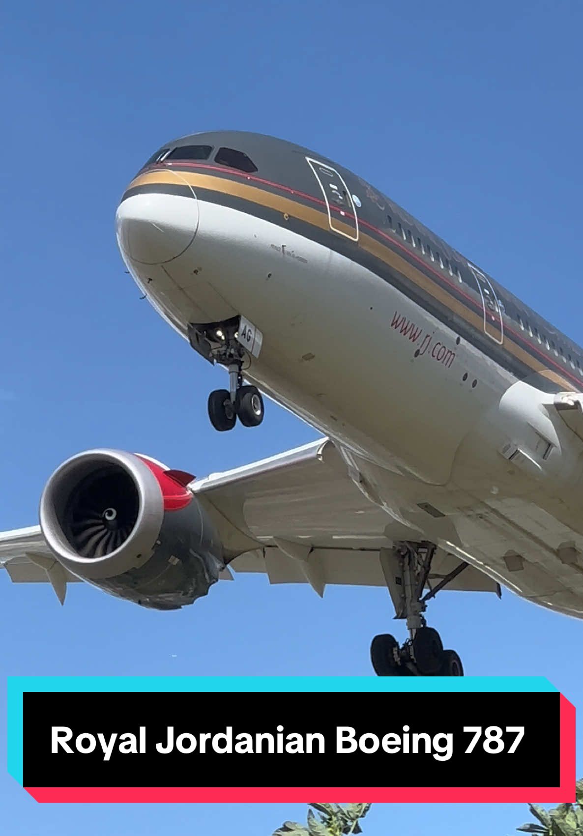 Royal Jordanian Boeing 787 Dreamliner 😍✈️🔥 #boeing #boeing787 #aviation #airplane #landing #airport #heathrow #avgeek #fyp
