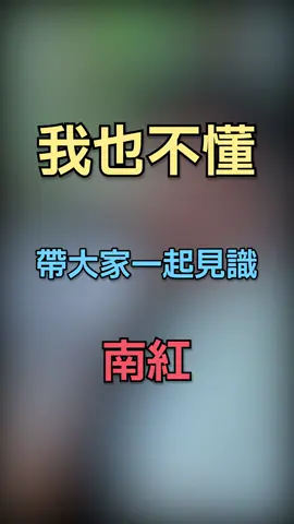 我也不懂，帶大家一起見識南紅#緬甸翡翠 #天然翡翠 #手藝人 #珠寶首飾 #jade #翡翠設計雕刻 