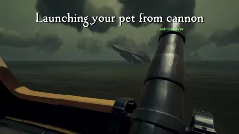 Launching your pet #seaofthieves #bemorepirate #seaofthievesfunnymoments #seaofthievesmemes #seaofthievesclips #seaofthievesgameplay #fyp #foryoupage #twitch #twitchstreamer #xbox #ps5 #pcgamer