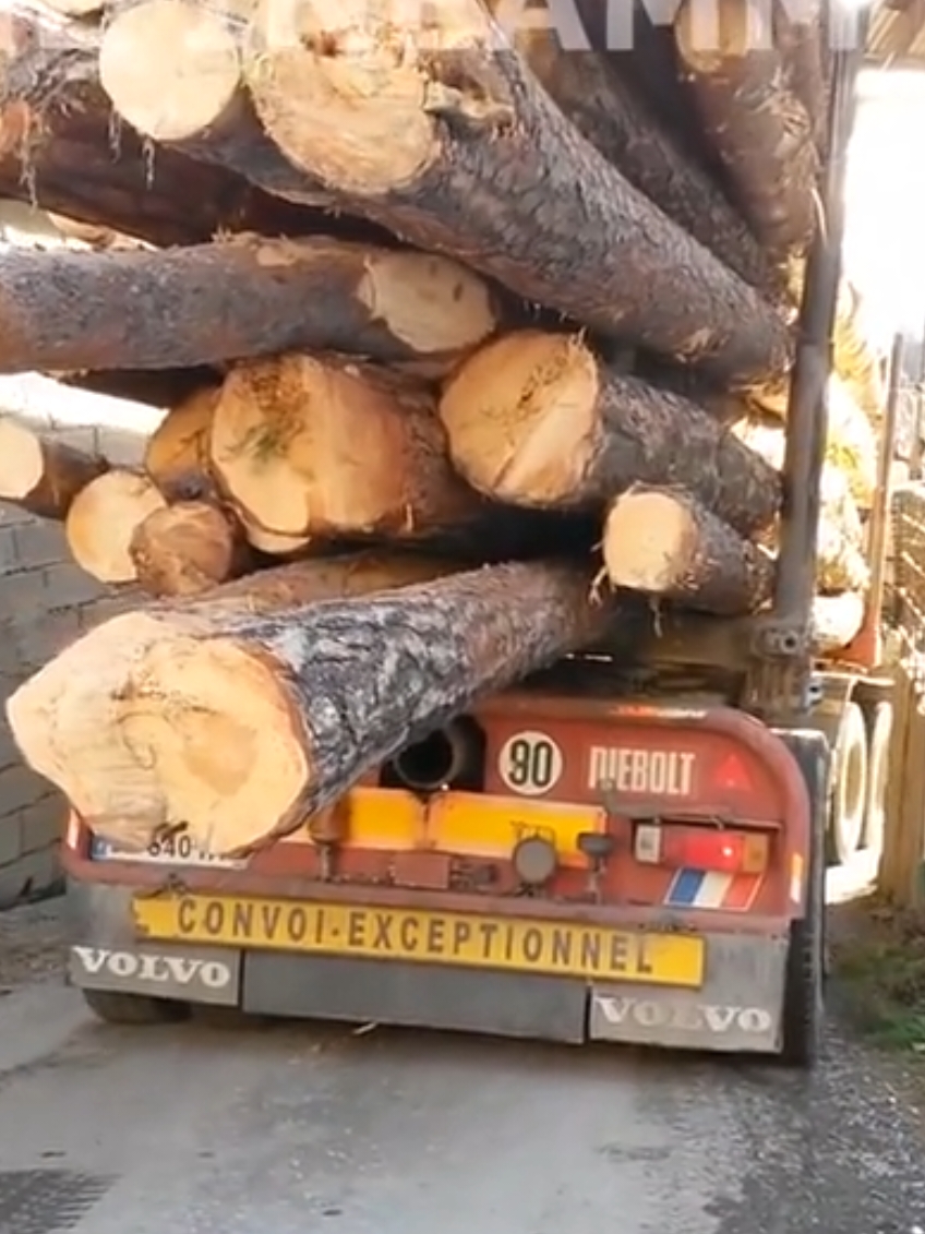 Gros chargement passage etroit #logtruck #scaniatrucks #scaniav8 #scaniatrucks #scaniapower #scaniapower ##trucking #scaniatrucks #scania #forestmachine #GRUMIER 