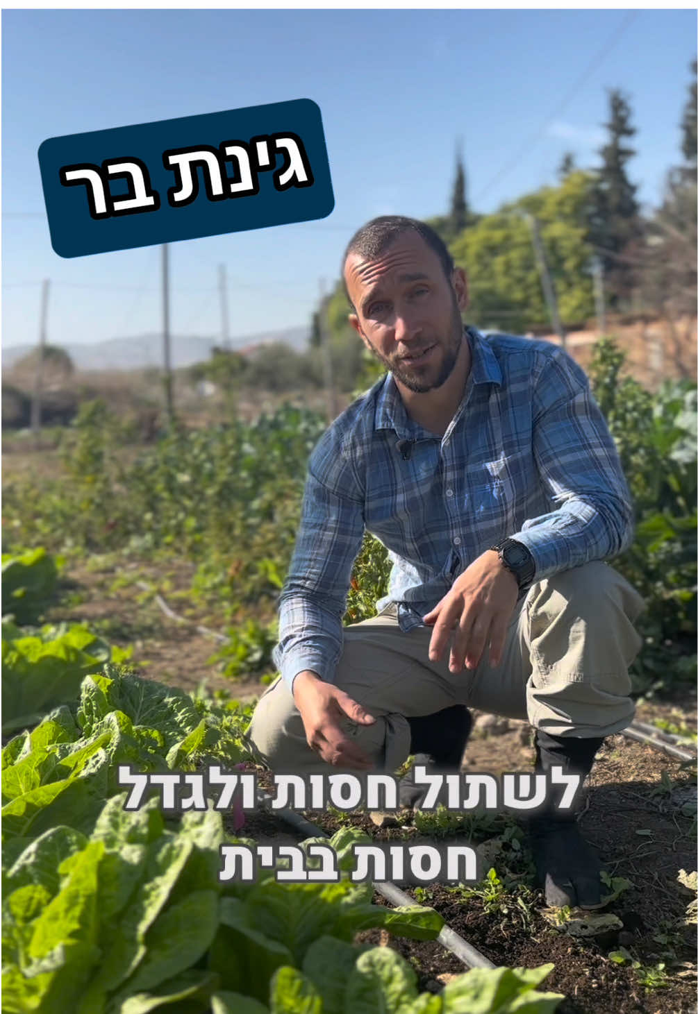 בר מסביר לנו כמה  פשוט זה לגדל חסה בבית: 1. שותלים את החסה באדנית בשמש 🌞 נותנים לה לגדול 2. בכל פעם חותכים לשימוש את העלים החיצוניים  3. החסה מצמיחה עוד ועוד עלים חדשים עד שבשלב מסוים הופכת למרה ופחות טעימה, ואז שותלים חדשה!🥬  