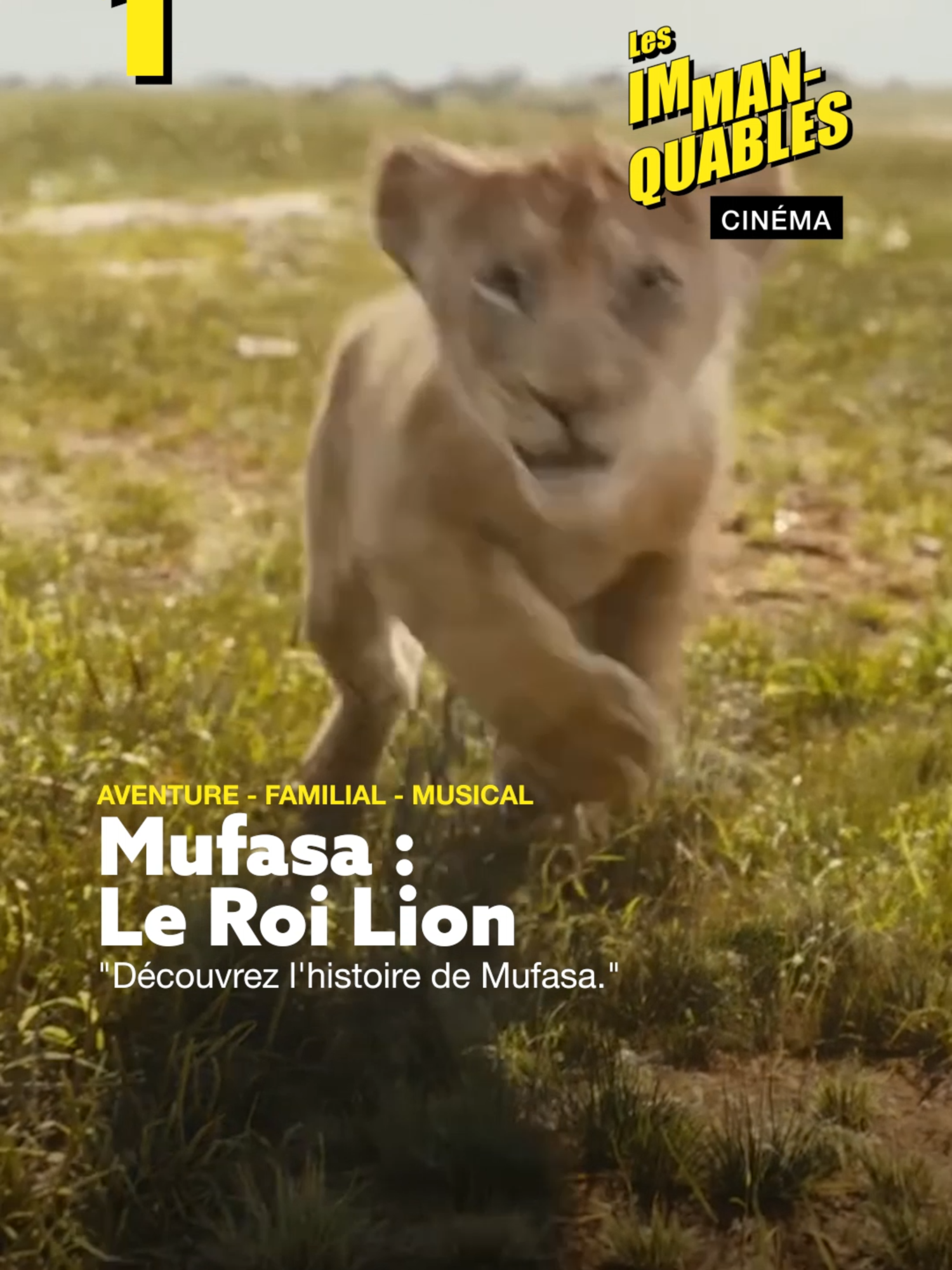 LES #IMMANQUABLES CINÉ Diverto 🎬 Au programme cette semaine, les 5 films à ne pas manquer : 🦁 MUFASA : LE ROI LION • @disney 💥 KRAVEN THE HUNTER • @sonypictures.fr 💗 EVERYBODY LOVES TOUDA • @advitamdistribution ↔️ CONTE NUPTIAL • #Capricci 🎄 UN NOËL EN FAMILLE • @kmbo.films Bonne séance 🍿 ! #immanquables #immanquablesciné #immanquablesdiverto #sortieciné #sortiecinema #cinema #cinematok #cinetok #tiktokcinema #tiktokcine #cinetiktok #cinematiktok #mufasa #kinglion #roilion #mufasaleroilion #leroilion #scar #simba #mufasa #kraventhehunter #everbodylovestouda#contenuptial#raphaelquenardedit #noelenfamille #noel #christmas #tiktoknoel #noeltiktok #xmas #noeltok #xmastok #christmastok #tiktokchristmas #christmastiktok#onregardequoi #movie #movies #movietok #moviestok #tiktokmovie #tiktokmovies #movietiktok #moviestiktok #fyp #fyppage #foryour #foryourpagee #tiktokfrance @rxectla