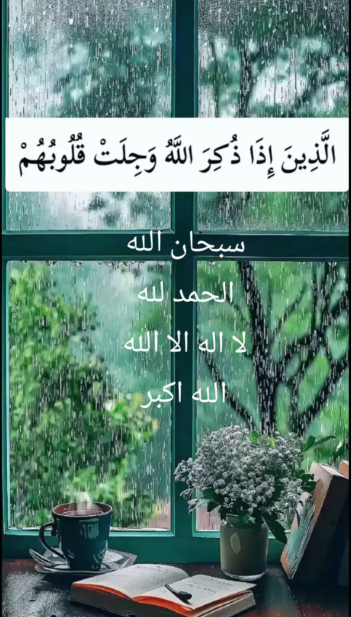 #قرأن #قرأن_كريم_راحة_نفسية #قرأن_كريم #quran_alkarim #islamic_video #foru #fyp #اكسبلور #اذاعه_القرآن_الكريم #foryoupage❤️❤️ #islami #quran #غافر_الذنب_وقابل_التوب #اذكروا_الله #سبحان_الله_وبحمده_سبحان_الله_العظيم