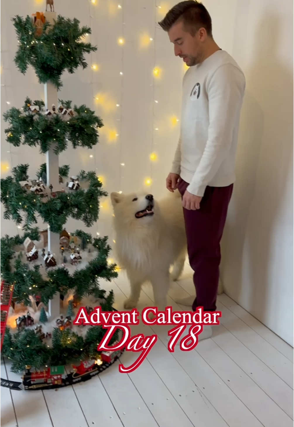 Day 18 of my dog‘s advent calendar 🎁😍 #dog #samoyed #christmas #adventcalendar 