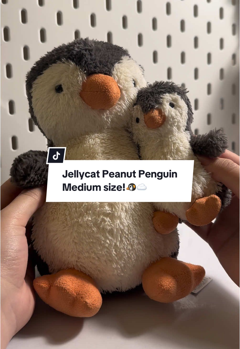 Jellycat Peanut Penguin - Medium size! ⋆౨ৎ˚⟡˖   #jellycat #peanutpenguin #peanutpenguinjellycat #penguinjellycat #jellycatkeychain #penguin #fyp 