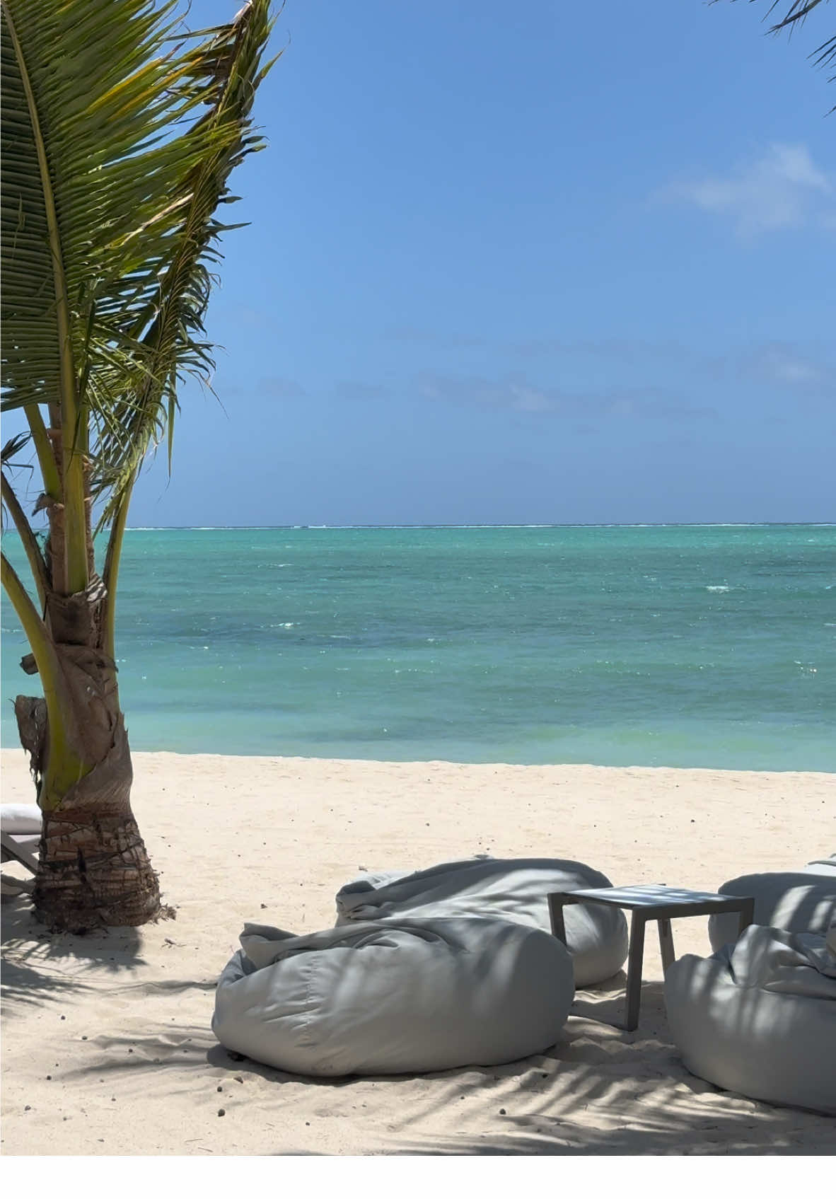 🥥🐚 #mauritius #tropicalvacation #beachview #ileauxcerfs #PlacesToVisit 