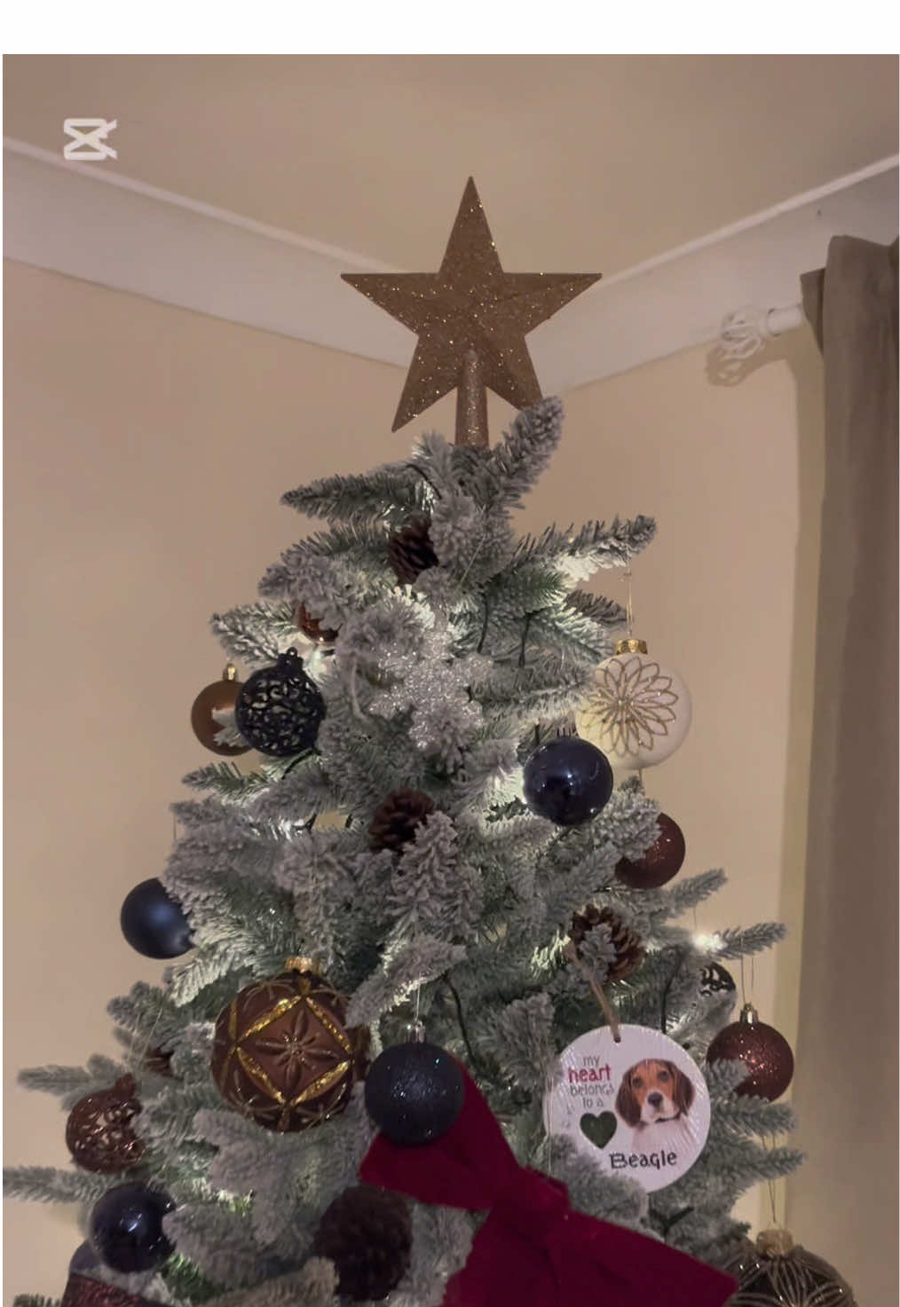 Our first big Christmas tree is ready! 🥹🤩🎄🎅 #christmas #ireland #santaclaus #viralvideos 