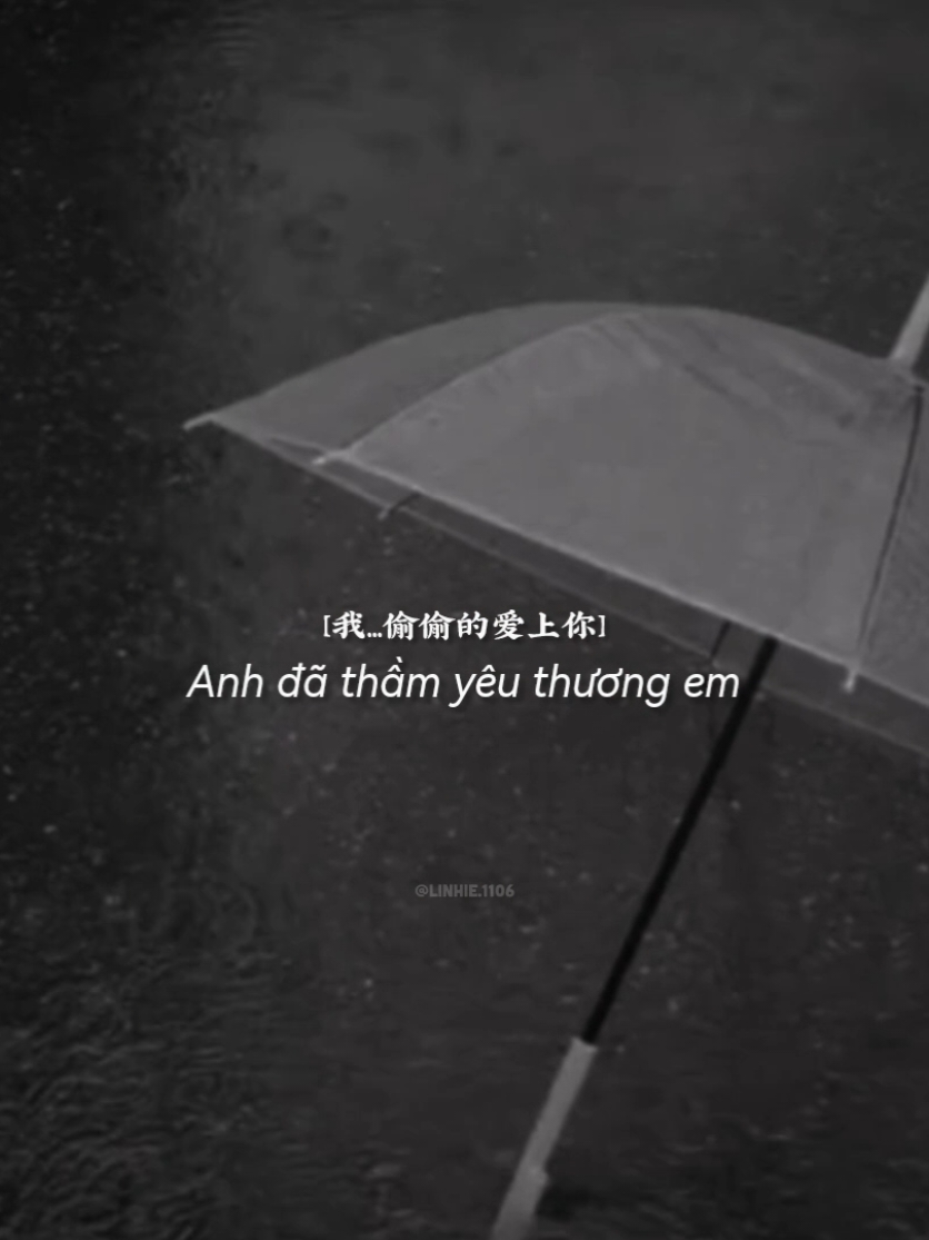 我是真的爱上你.. #nhactrung #douyin #lyrics #xuhuong #tnlcorner 