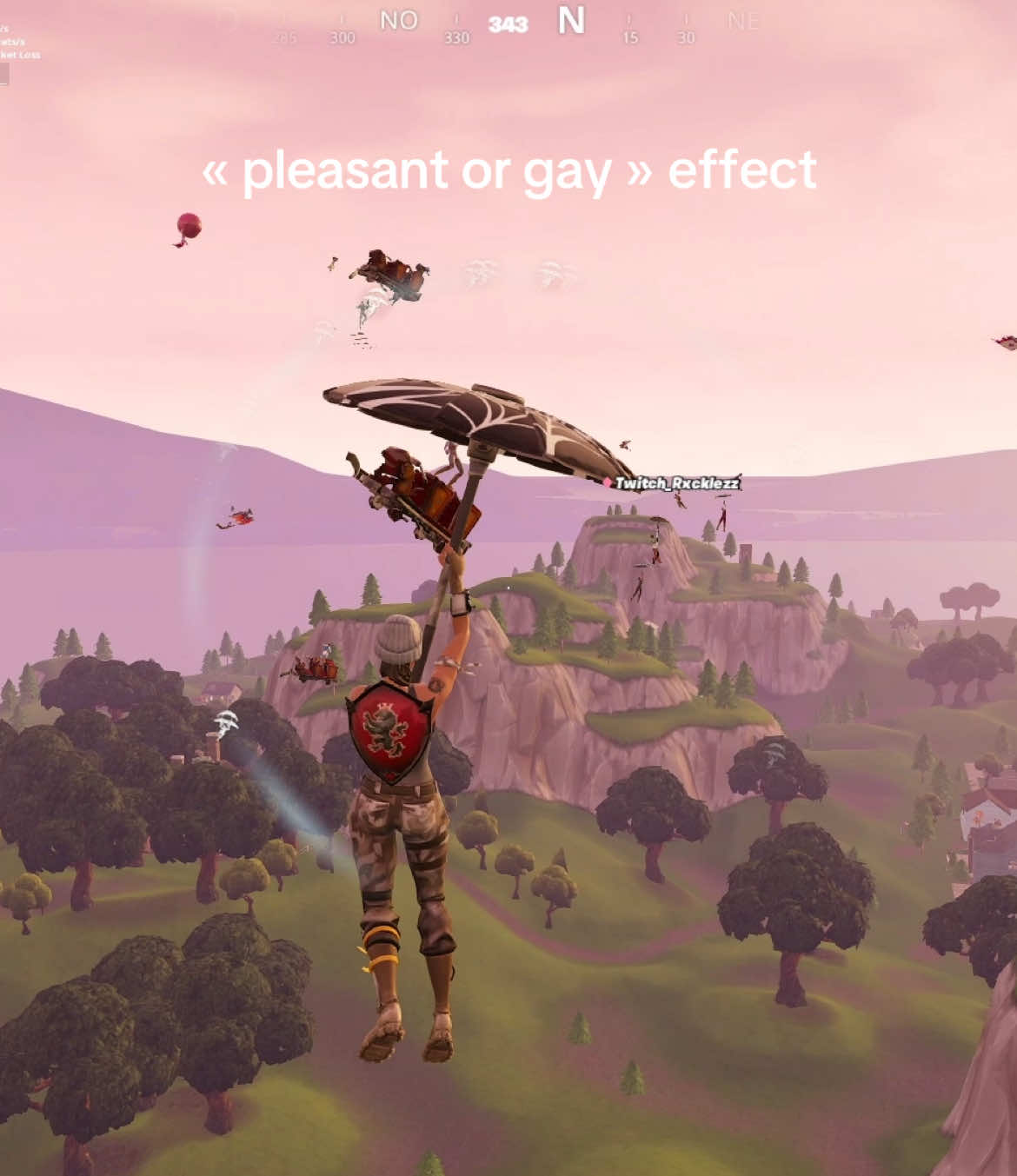 pleasant or gay #fortnite #pleasantpark 