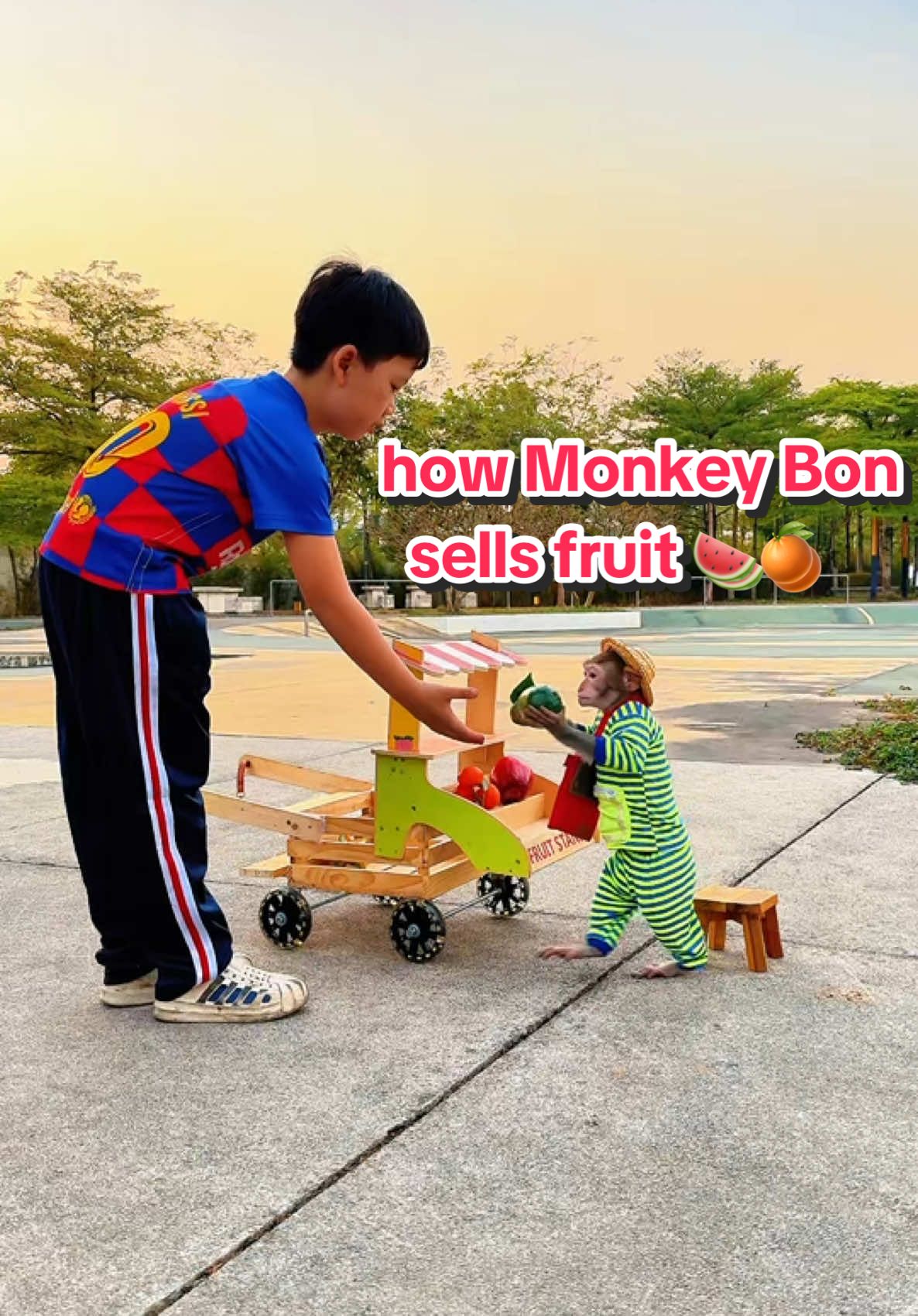 Cách mà khỉ Bon đi bán trái cây #monkey #monkeycute #monkeybonbon #monkeyfamily #monkeyfunny #monkeysmart #khỉ #khỉthôngminh #dongvat #thucung 