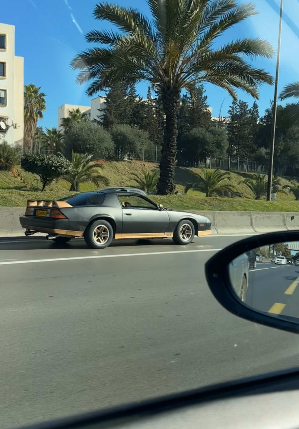 Chevrolet Camaro 3eme generation « 1984 » 🔥 #dz #fyp #car #chevrolet #chevroletcamaro #viral_video #alg #algeria #🇩🇿