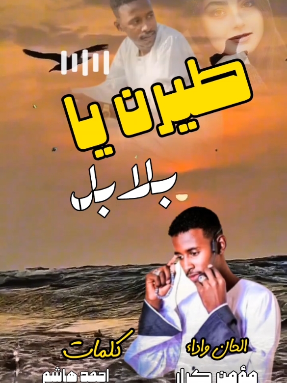 #مؤمن_كرار #طيرن يا بلابل#السودانيين_فى_السعودية #اغاني_سودانية_جديدة #تصميم_فيديوهات🎶🎤🎬 #سودانيز_تيك_توك_مشاهير_السودان🇸🇩 #تشاديينيز🇷🇴💖🇷🇴💖🇷🇴💫💫 #السودانيين_فى_السعوديةا🇸🇩 #البطانة_الشكرية_عرب_تمبول❤🤚🔥 #السودان_مشاهير_تيك_توك 