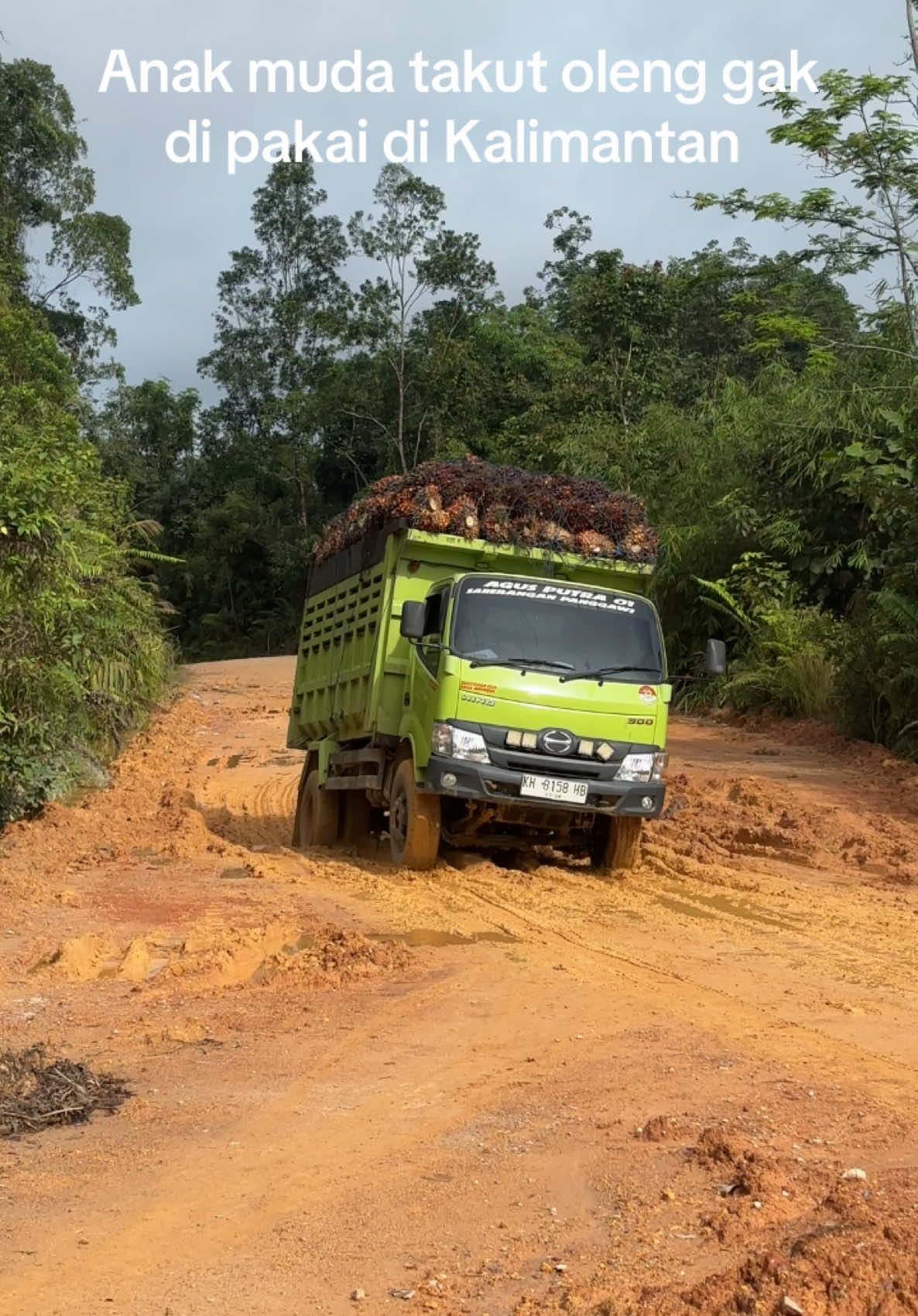 #ceritasupirhero #fypシ゚viral #xcyzba #pesonatrukkalimantan #trucksawitkalimantan #kalimantanstyle 