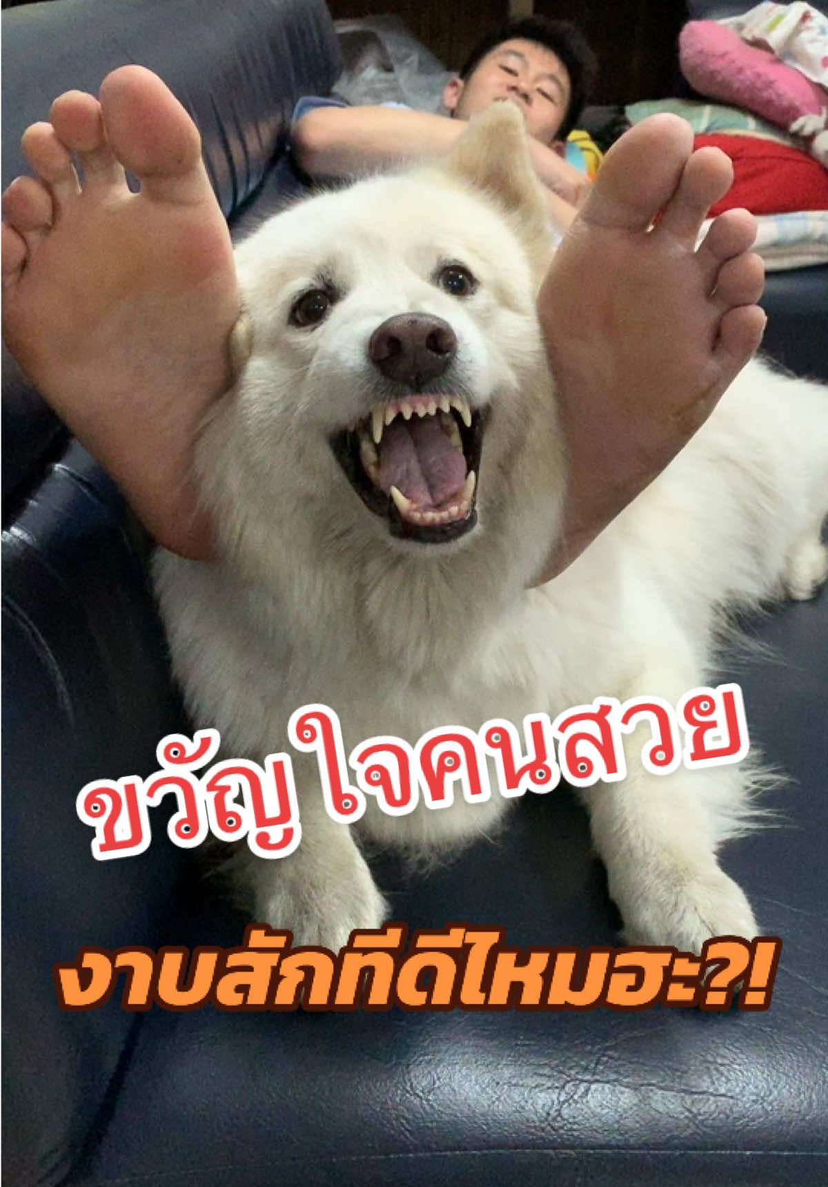 หนูมานอนก่อนนะ! #บางแก้ว 