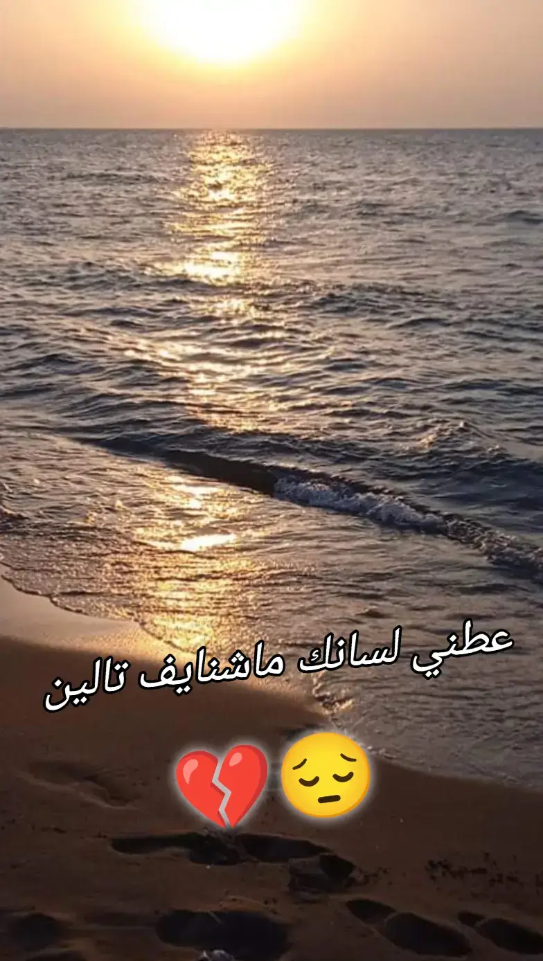 #شيخ_كريمو_سعيدي #معسكري29_♡وافتخر😘🥰 #معسكري29_♡ #تغنيف_معسكر_♕♕🎀♕♕ #غريس_معسكر #ولاد_معسكر_ڨاع_يبانو_هنا_تحيا_ولاد_بلادي،،،،،، 