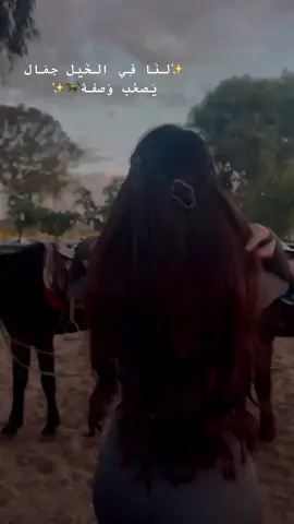 🐎🐎 #funny #https #beauty #fashiontiktok 
