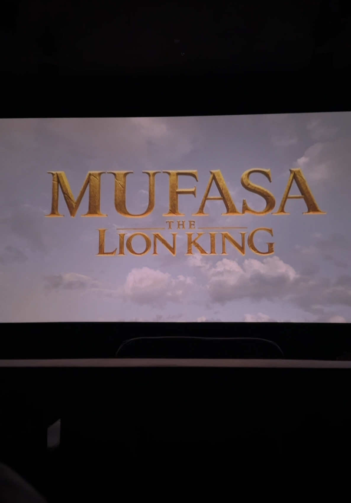 Mufasa: The Lion King #fyp #foryoupage #lionking #mufasathelionking #mufasa #thelionking #simba #mufasalionking #fypシ #nowshowing #mufasathelionkingmovie 