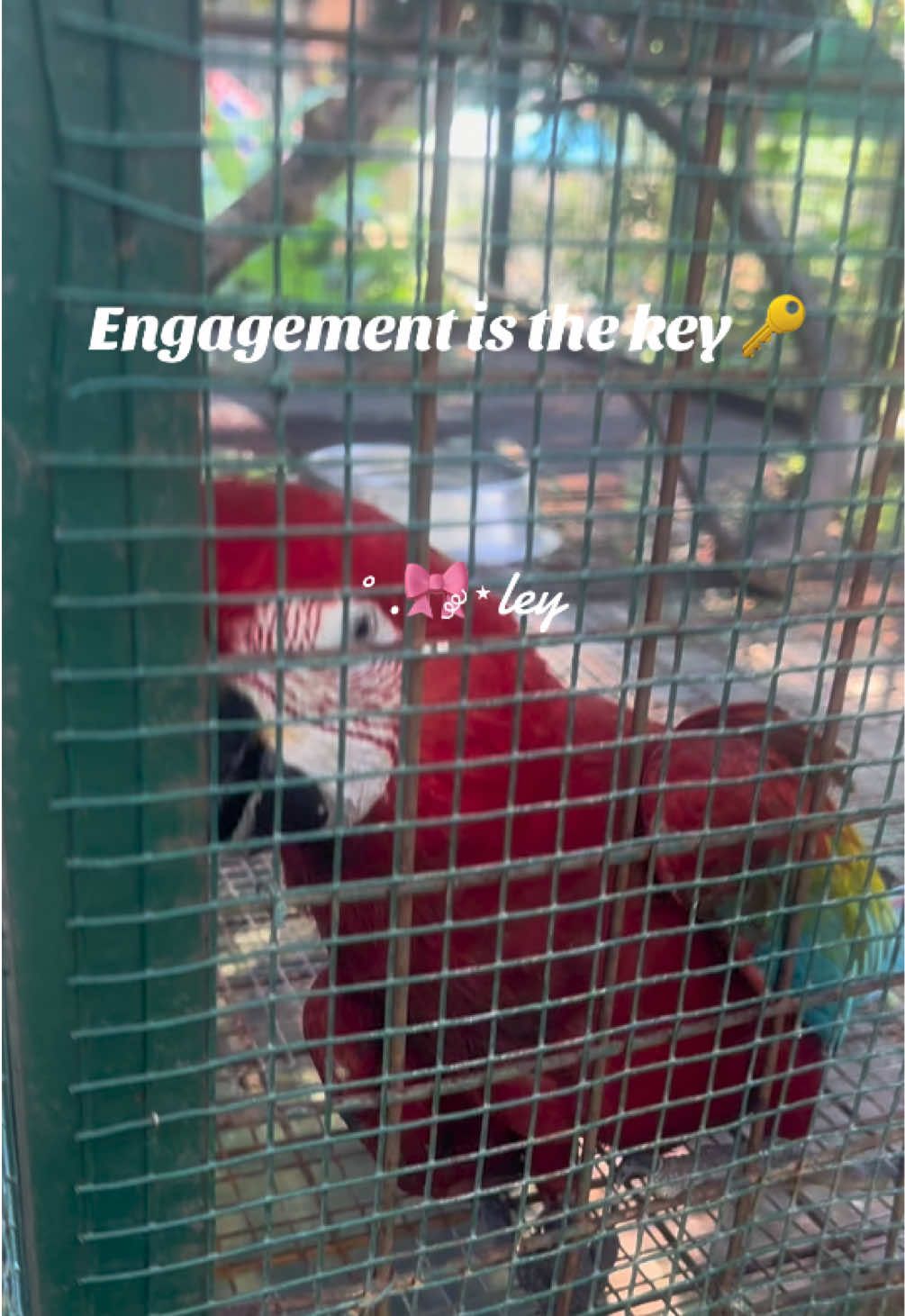 proper engegament is the key  engagement is the key engagement is the key for begginers engagement tutorial engagement is the key now followers grow up follower 10k tiktok followers engagement #follow #followfollowfollow #follow_ #follow? #followfollow  #properengagementisthekey #properengagement #properengagementisthekey  #properengagementisthekey💗💗💗