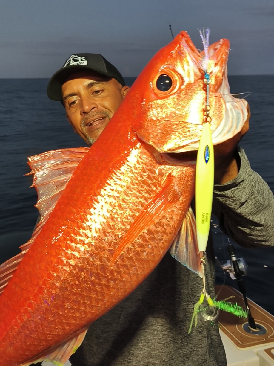 MISIÓN CUMPLIDA! 🇻🇪🎣 Pesca de Queen Snapper o Pargo Conoro bajo la modalidad de slow pitch jigging en la Guaira. 🎣 El mundo de la pesca está revolucionando a nivel mundial, cada vez son más las técnicas y equipos que se están utilizando para capturar especies que jamás imaginamos sería posible pescar con señuelos. Cómo lo es este particular pez llamado Queen Snapper o Pargo Conoro como se le conoce en Venezuela (Etelis oculatus).  Lo que hace difícil pescar este particular pez es que suelen habitar en fondos entre los 200 y 400 metros de profundidad. Es ahí donde se aplica una técnica ampliamente dominada por los japoneses llamada Slow Pitch Jigging. Siendo este pez una de las capturas favoritas debido a su dificultad y exquisito sabor. Después de tanta perseverancia y mucho agotamiento físico logré capturar a este majestuoso Queen snapper de unos 10 kg a una profundidad de 365 metros (1.197 pies). A pesar de ser un pez que comúnmente se captura en la Guaira bajo la pesca comercial y artesanal el método utilizado por excelencia es el uso de anzuelos y carnadas en palangres, así como con cañas eléctricas. Siendo esta captura una de las primeras que se registran en Venezuela con un jig o señuelo a esa profundidad.  La Guaira, Venezuela. . . . . . . #slowpitchjigging #queensnapper  #jigging #jygprofishing #snapper  #laguaira #verticaljigging #pargo  #xtremefisherman #venezuela 