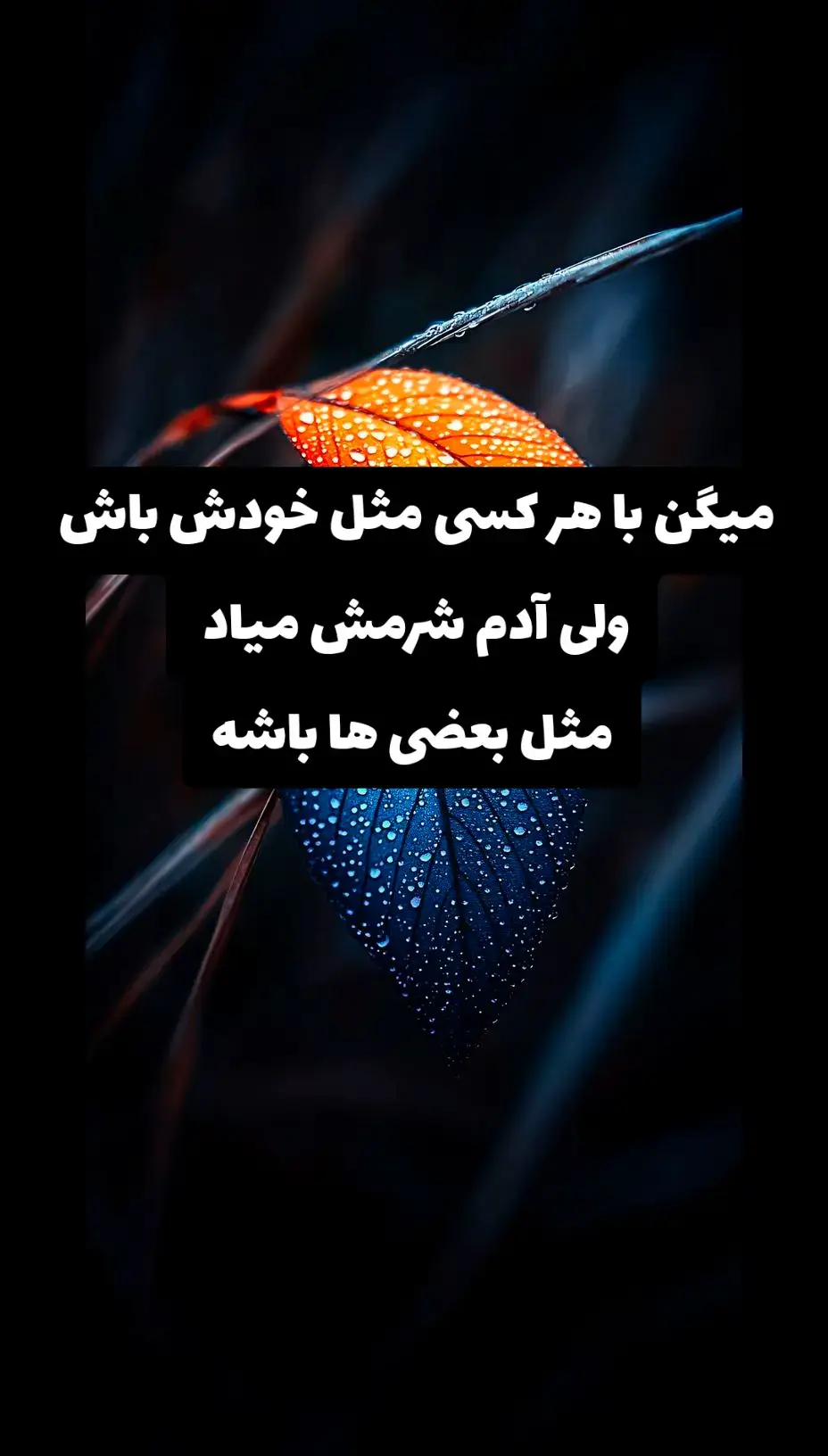 #foryou #ایرانی_تیک_تاک #foryoupage #viral #هزاره_ازبک_تاجک_پشتون_ترکمن_🇦🇫 #انگیزشی #افغانستان #