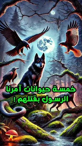 حيوانات امرنا الرسول صلي الله عليه وسلم بقتلها😱 #الرسول_محمد_صلى_الله_عليه_وسلم #حيوانات #معلومات_دينية #حيوانات_مفترسه #اسلاميات #explore #islamic_video #fyp 