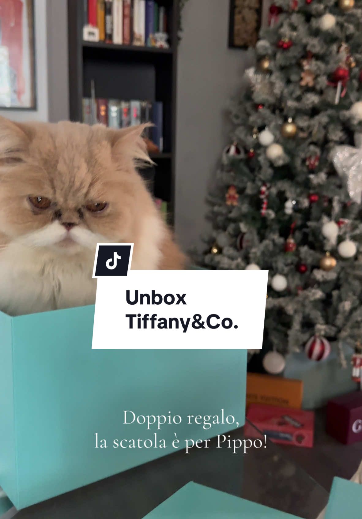 La AMO!! #tiffany #tiffanyandco #unboxtiffany #haultiffany #haul #unbox #regalidinatale #bluebox #tiffanybag 