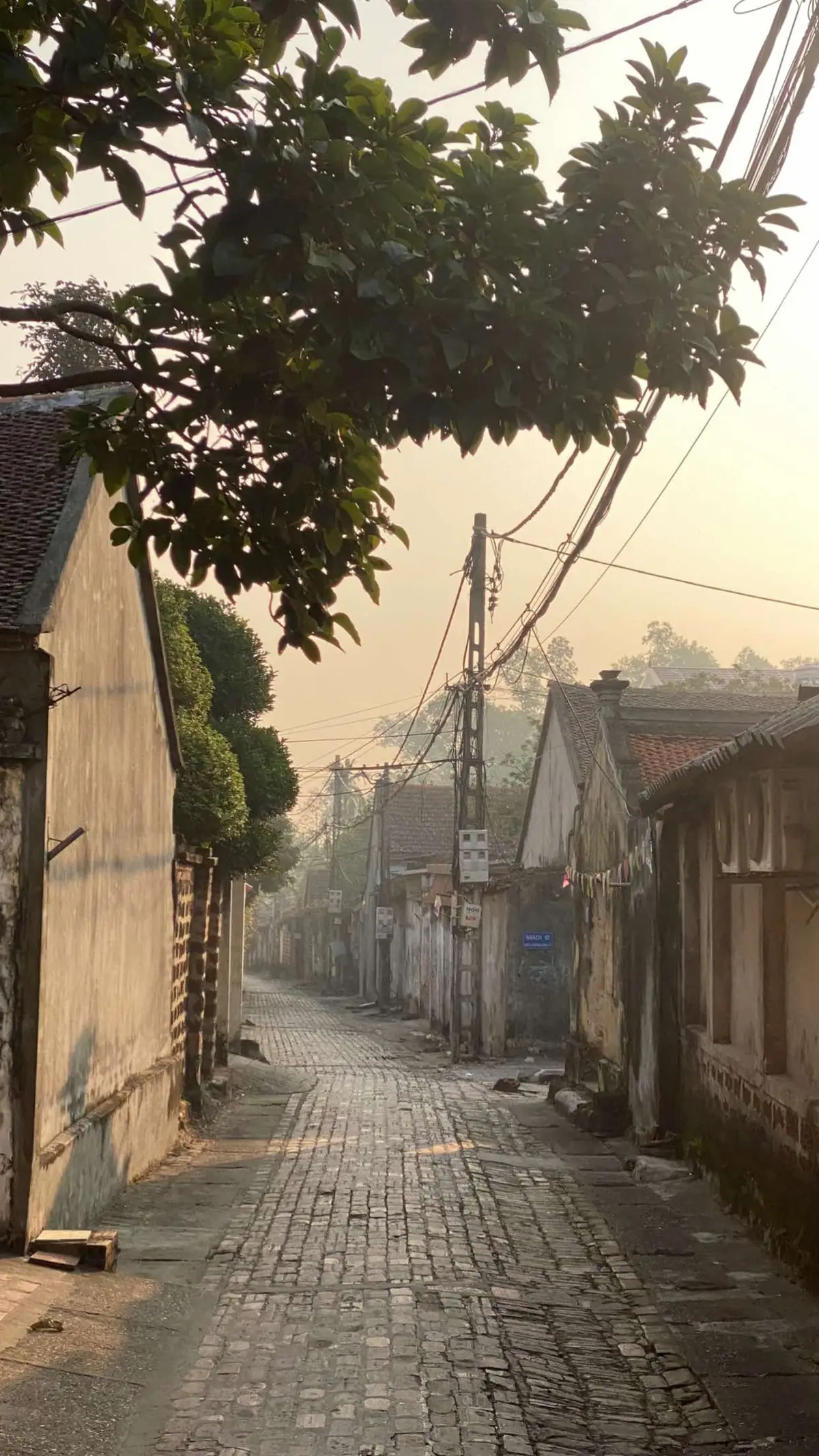 Ngày đầu tuần thong dong một chút, 2 vợ chồng rủ nhau đi ăn sáng rồi trùng hợp đứa bạn cũng rảnh lại rủ nhau ra quán cafe đầu làng ngồi nói vài ba câu chuyện🥰 Một buổi sáng thơ thẩn, mê thật ấy🫶🏻 #langcoduonglam 