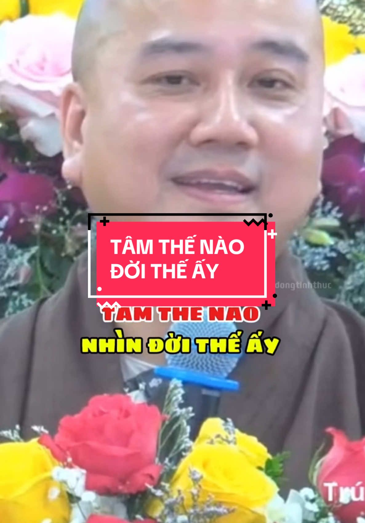 Tâm như thế nào nhìn đời như thế ấy #congdongtinhthuc #phatgiao #thichphaphoa #giadinh #daophat 