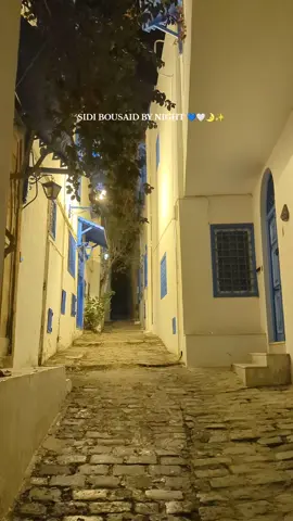 Sidi BouSaid by night ♥️💙🤍✨ It's Sidi BouSaid 💙🤍 Tunisia Travel 🇹🇳 #cometotunisia #sidibousaid #sidi_bou_said #by_night #night #night_walk 