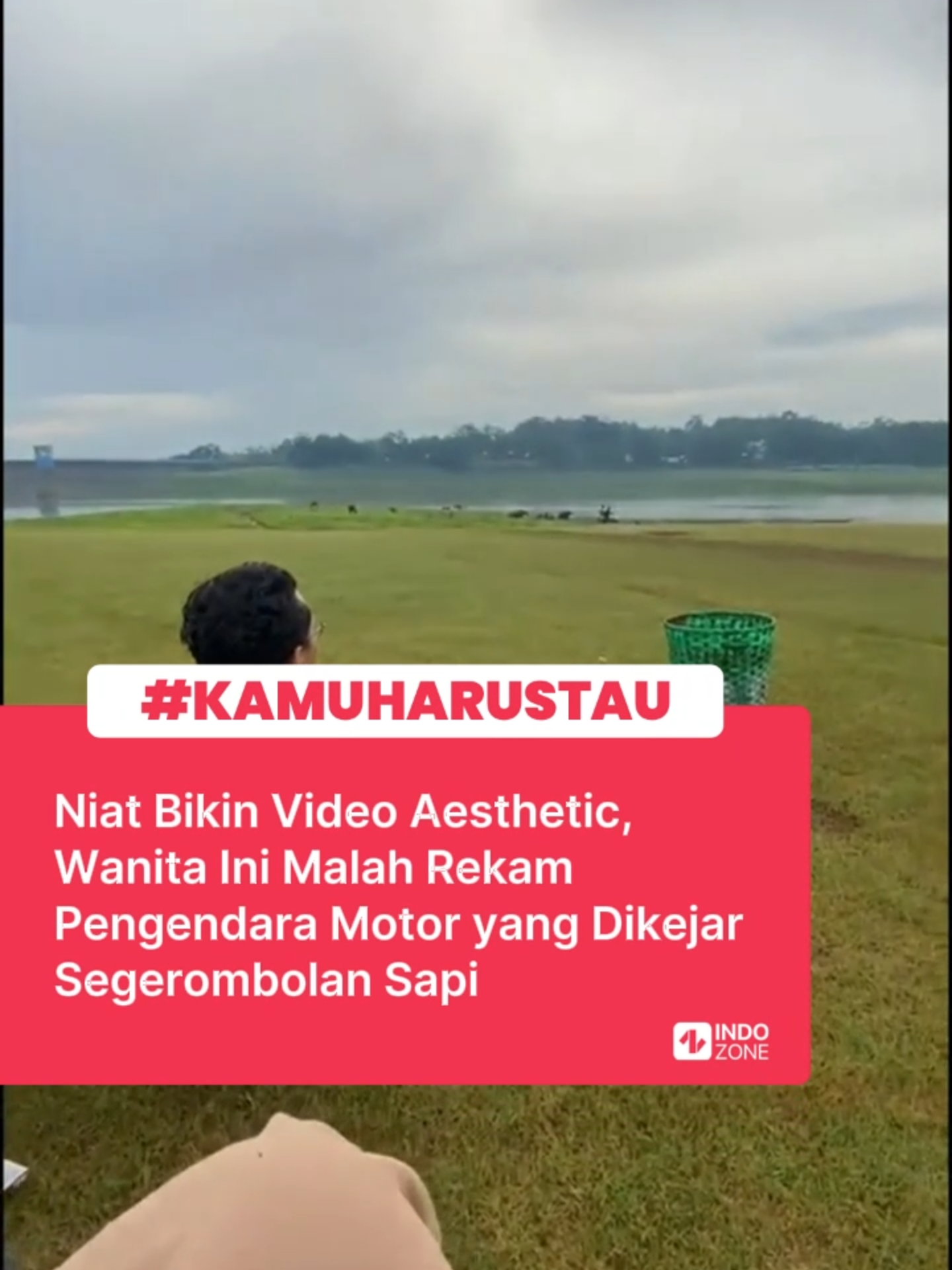 Dalam video tersebut, seorang perempuan sedang mencoba membuat video aesthetic dengan latar belakang alam yang indah. Namun, tanpa sengaja, ia malah merekam dua laki-laki yang sedang naik motor dan dikejar oleh segerombolan sapi. Kedua pengendara itu terlihat panik saat mencoba mengebut untuk menghindari sapi-sapi yang mengejar. Sayangnya, motor mereka malah ngeslide dan jatuh. Tanpa banyak pikir, pengemudi langsung lari meninggalkan motornya, diikuti temannya yang juga jatuh dan langsung berdiri untuk kabur. Motor pun ditinggalkan begitu saja. Kalau kalian yang lagi dikejar sapi kayak gitu, bakal lari juga gak nih??  Video: TikTok/dafitriyan1 [baca berita dan informasi menarik lainnya hanya di www.indozone.id]