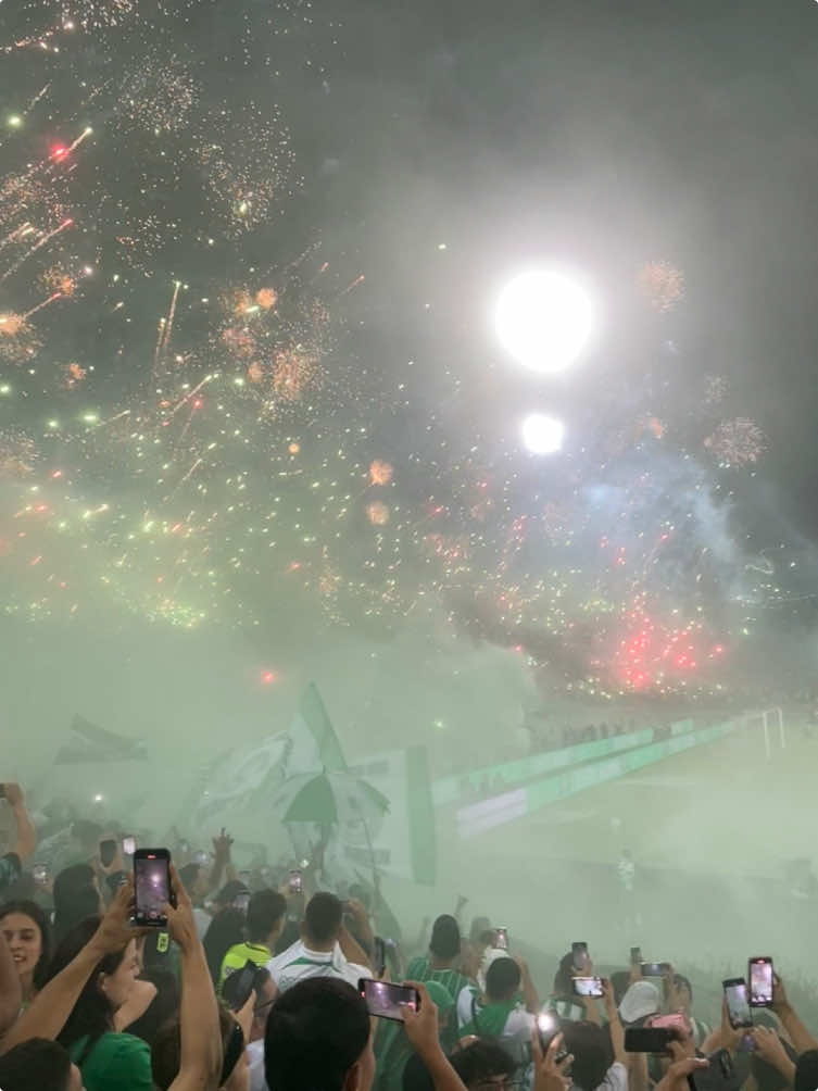 No hay nada que se compare con la hinchada del verde. 💚 #nacional  #verdolaga  #medellin #atleticonacional 