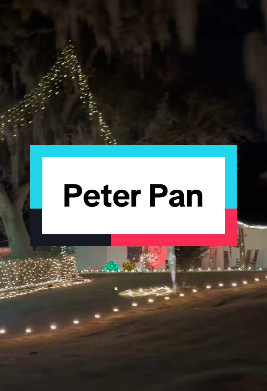 Peter Pan theme!!! christmas decorations ideas! #creatorsearchinsights  #diychristmasdecorations  #homemadechristmasdecorations  #christmasdecorationideas2024 #christmasdecorations2024 