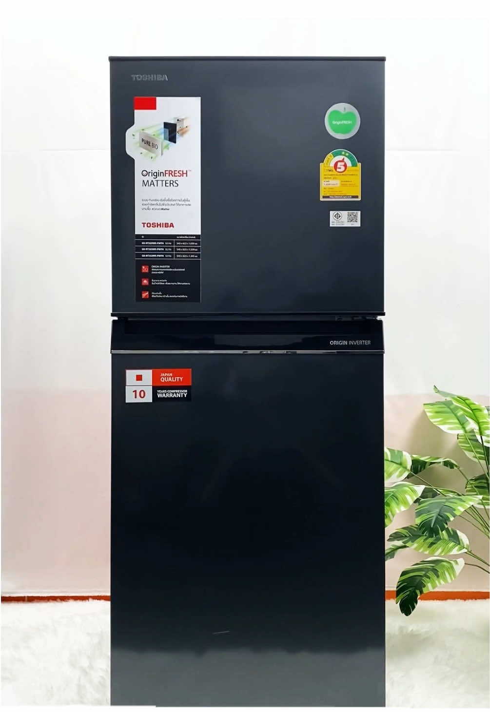 ประหยัดไฟ เย็นเร็ว ตู้เย็น TOSHIBA #toshiba #toshibathailand #โตชิบานําสิ่งที่ดีสู่ชีวิต #นำสิ่งที่ดีสู่ชีวิต #โตชิบา #detailsmatter #เครื่องใช้ไฟฟ้า #ตู้เย็น 
