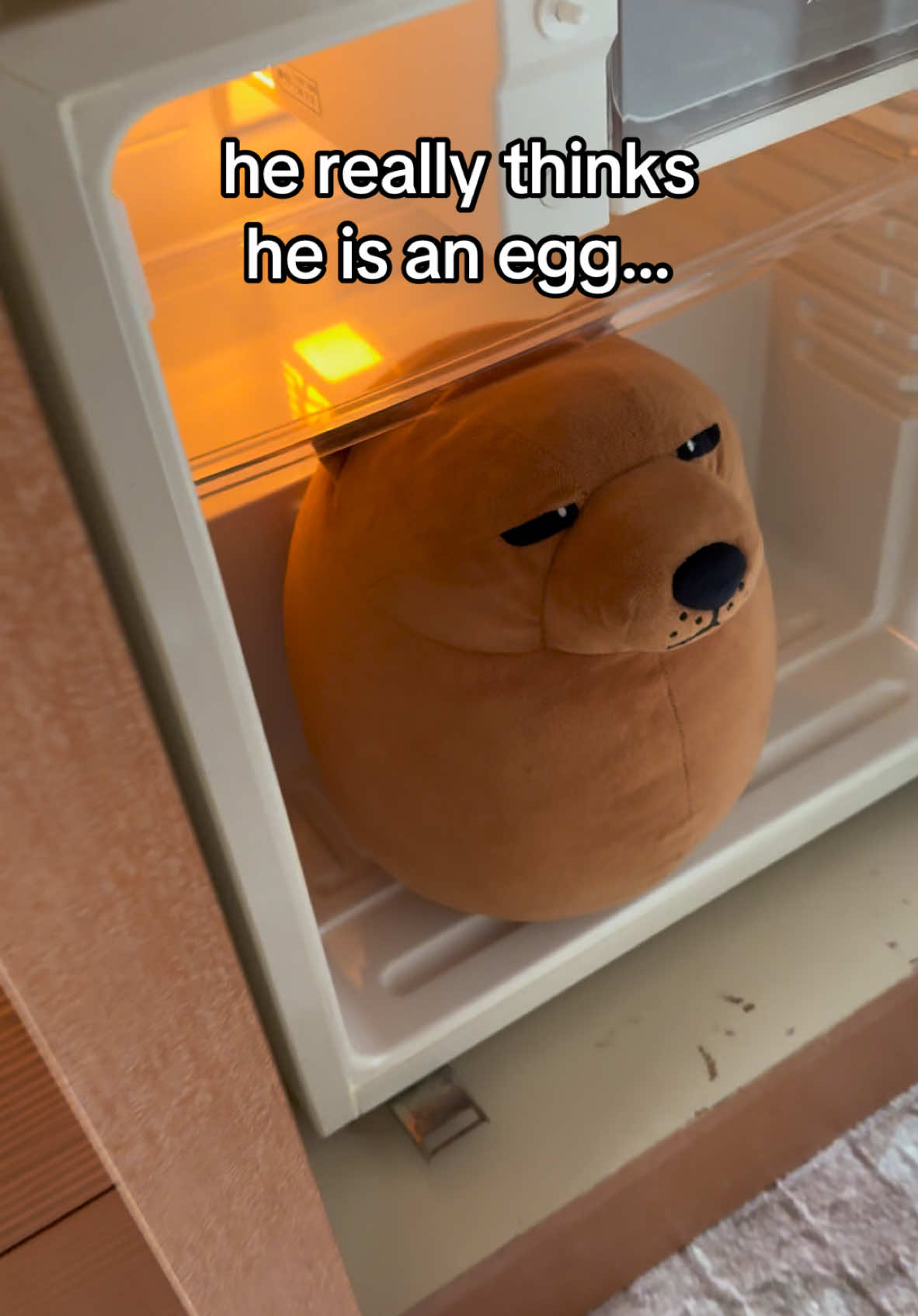 SHIBAKOOO what are you doing here you will never be an egg… Up for adoption Link in Bio. 