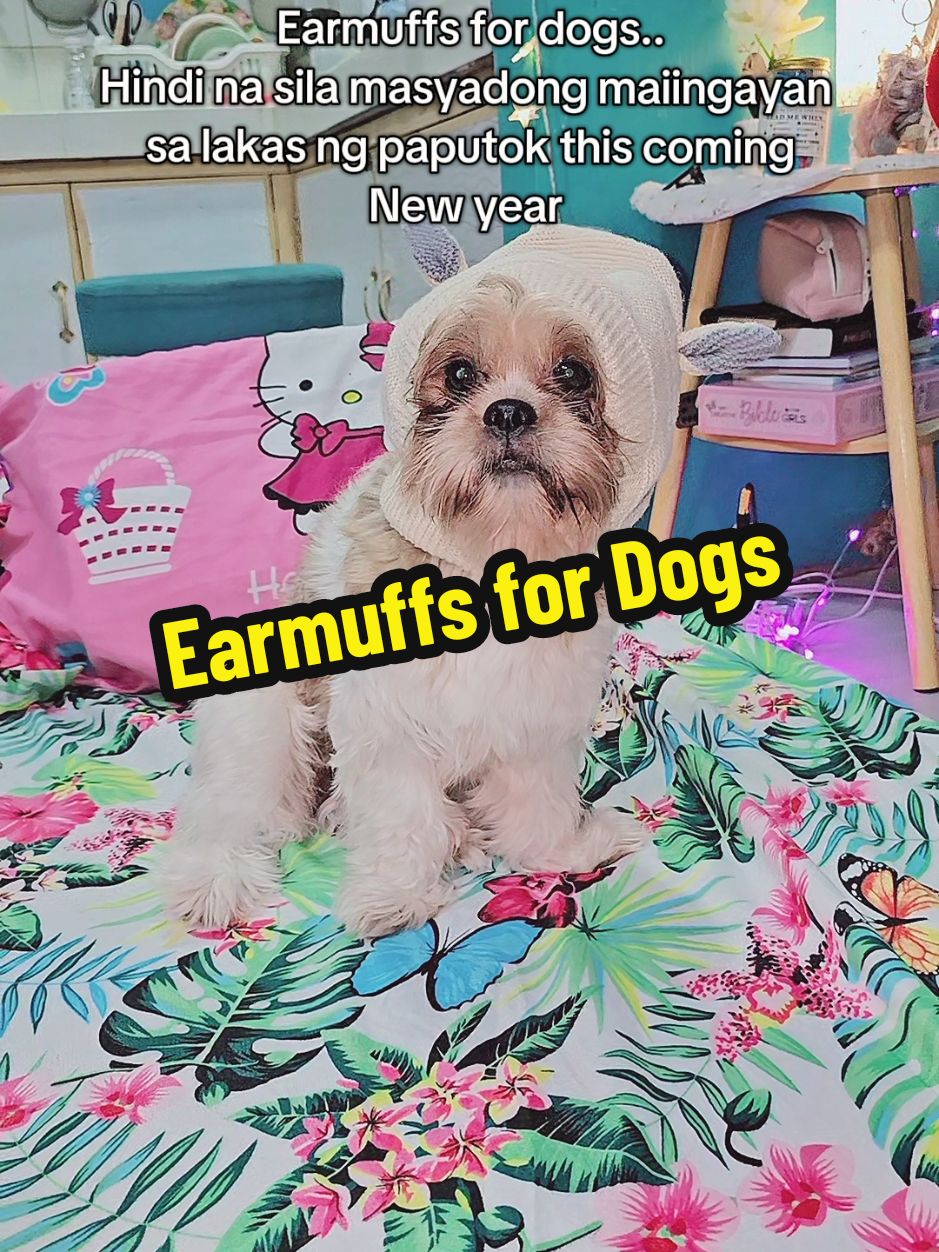 Earmuff for dogs.. Kailangan to ng mga alaga natin para hindi sila masyadong mabigla or maingayan sa paputok or ingay ng paligid.  #earmuffs #dogearmuffs #dogcare #dogearcover #earmufffordogs #antianxietywrap #anxietyrelief #anxietywrapfordog 